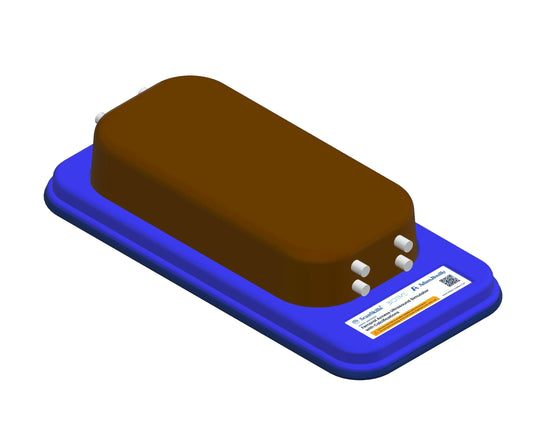 Femoral Access Ultrasound Simulator with Calcifications