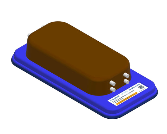 Femoral Access Ultrasound Simulator with Aneurysms