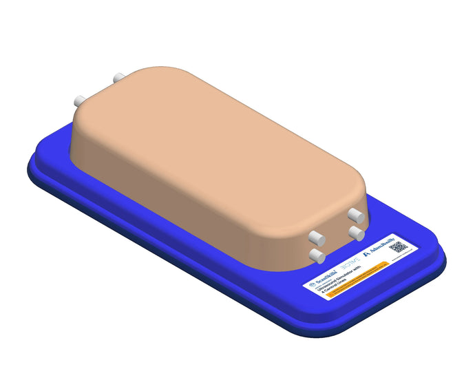 Ultrasound Simulator with 4 Central Lines
