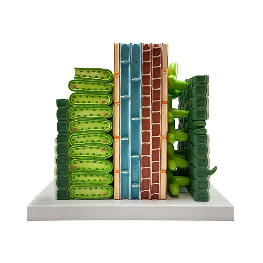 Modello di Foglia Dictyledonous, ingrandito 600X [SKU: MG9226]