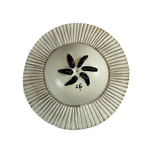 Taenia Saginata and Taenia Solium Comparison Model