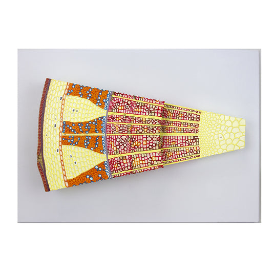 Tree Stem Section Model, 300X Enlarged