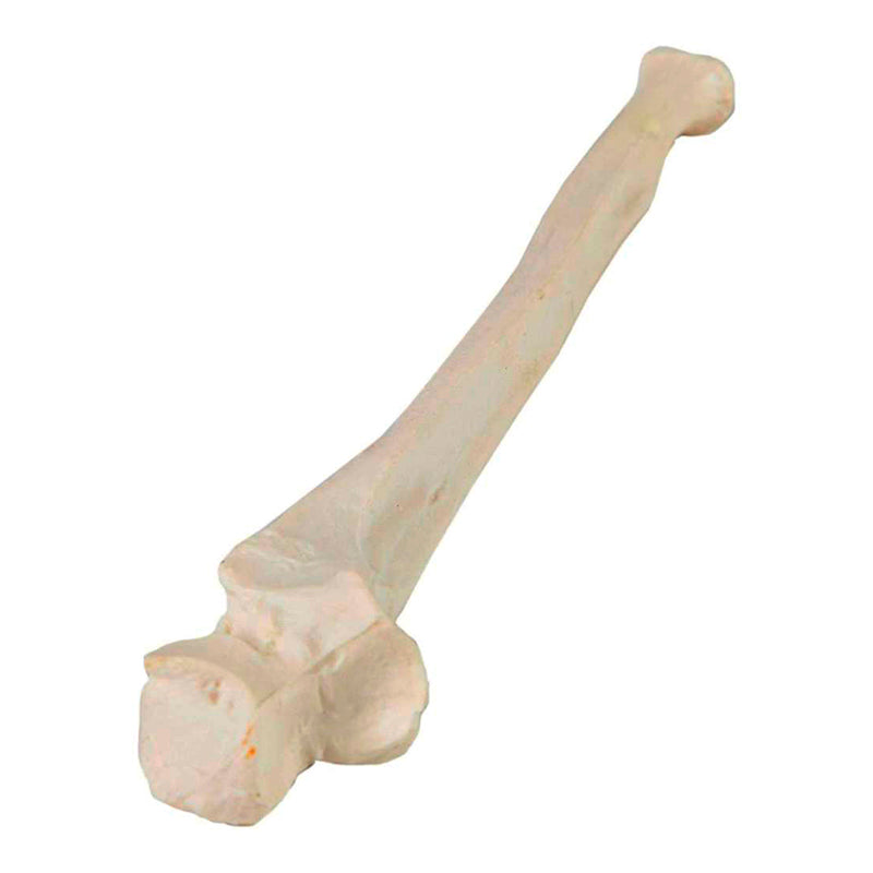 गैलरी व्यूअर में छवि लोड करें, अल्ना मॉडल [SKU: MG19434]
