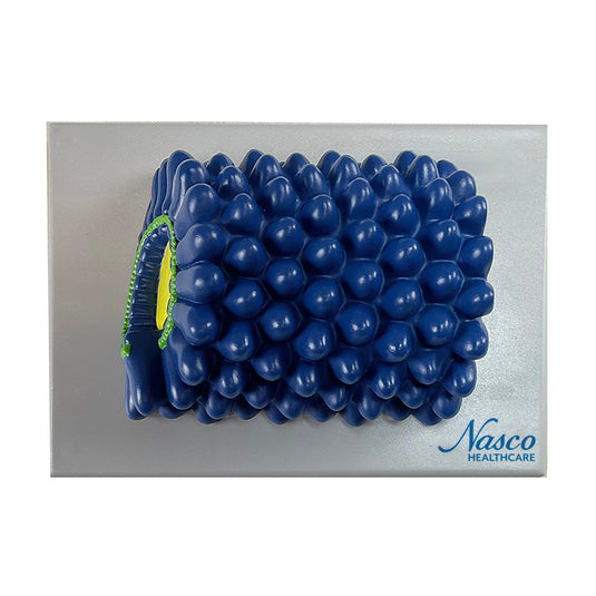 Modelo de Virus del Mosaicismo del Tabaco, Ampliado [SKU: MG19658]