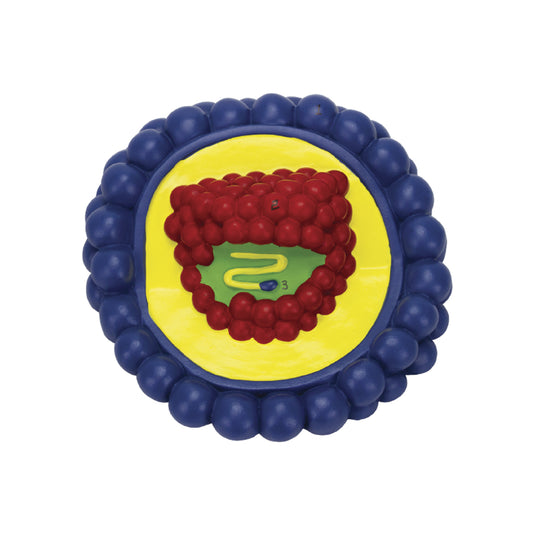 Modelo de Virus VIH, Ampliado [SKU: MG19659]