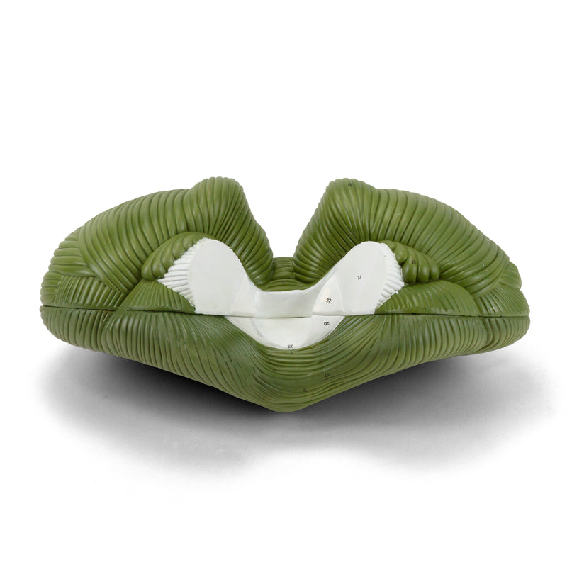 Load image into Gallery viewer, Cerebellum Model, 4X Enlarged, 2-Parts
