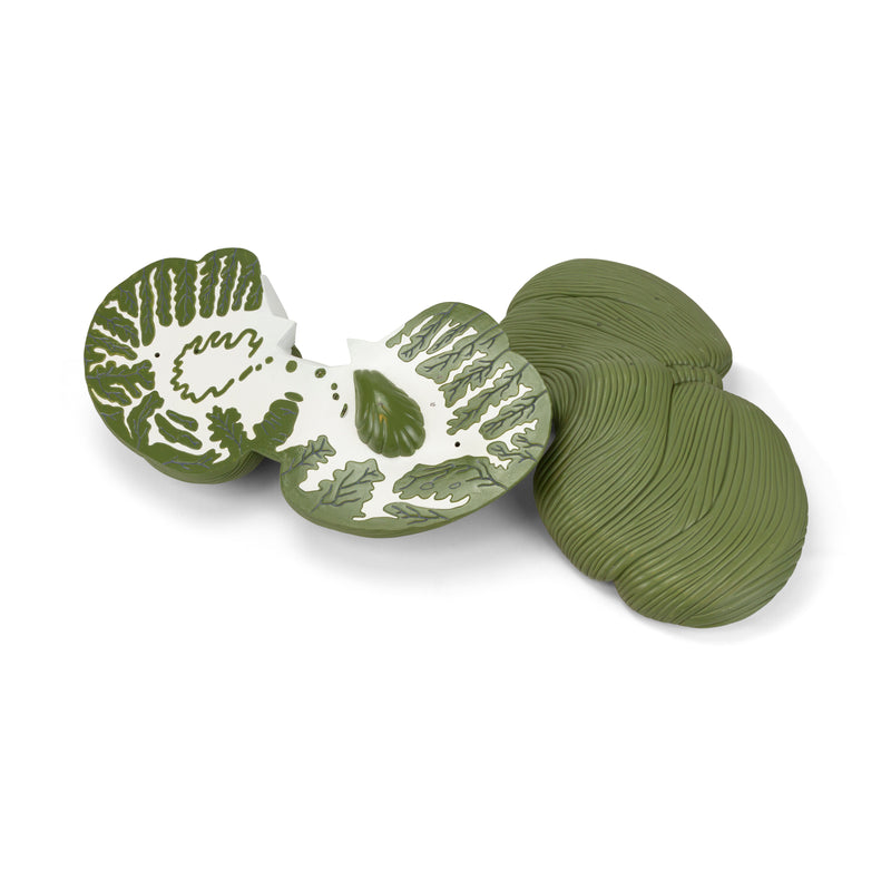 Load image into Gallery viewer, Cerebellum Model, 4X Enlarged, 2-Parts
