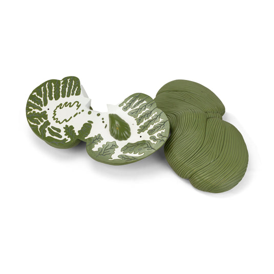 Cerebellum Model, 4X Enlarged, 2-Parts