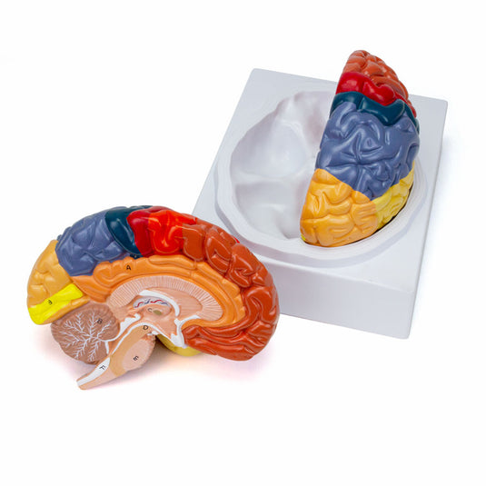 GST Hyper Brain CD 369 ミロク Miroku Mind GST Hyper Brain CD 369 ミロク Miroku Mind