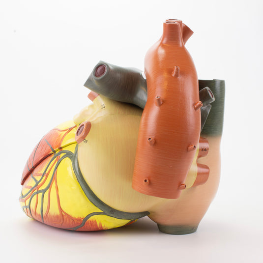 心臓モデル、3倍拡大 [SKU: MG22272]