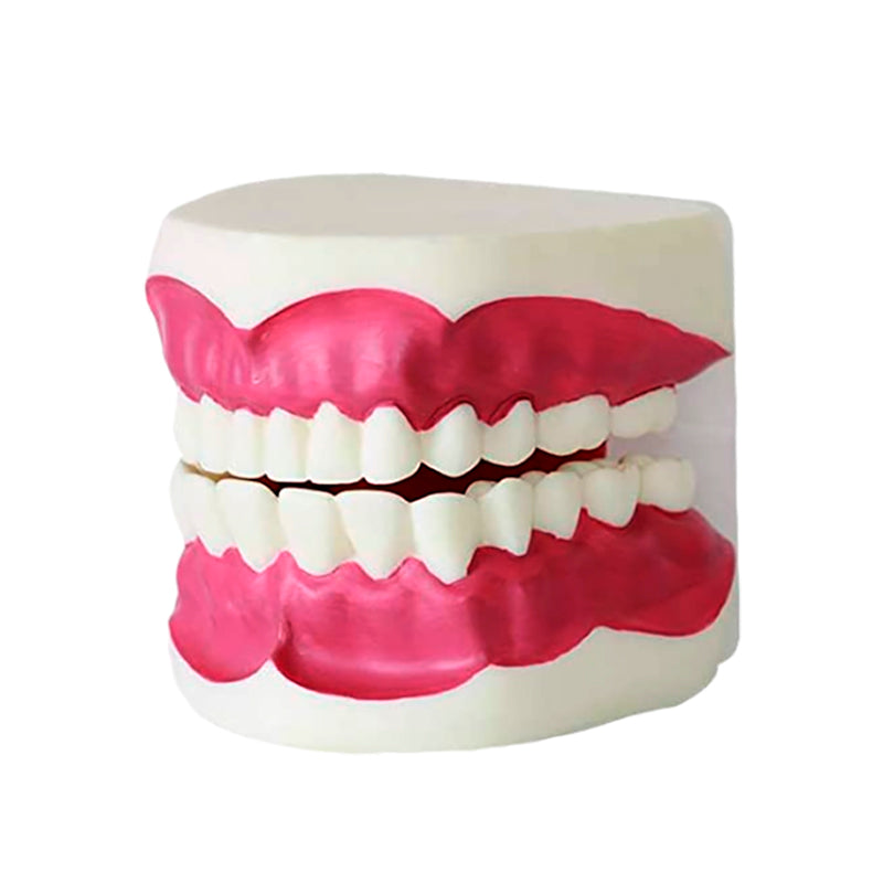 Cargue la imagen en el visor de la galería, Modelo de Cuidado Dental   [SKU: MG23876]
