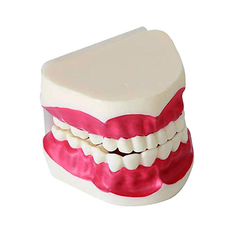 Cargue la imagen en el visor de la galería, Modelo de Cuidado Dental   [SKU: MG23876]
