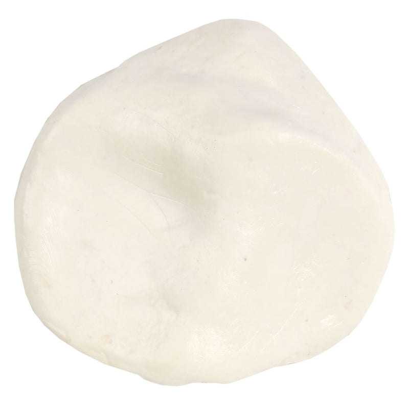 将图像加载到画廊查看器中，Patella Model, Male
