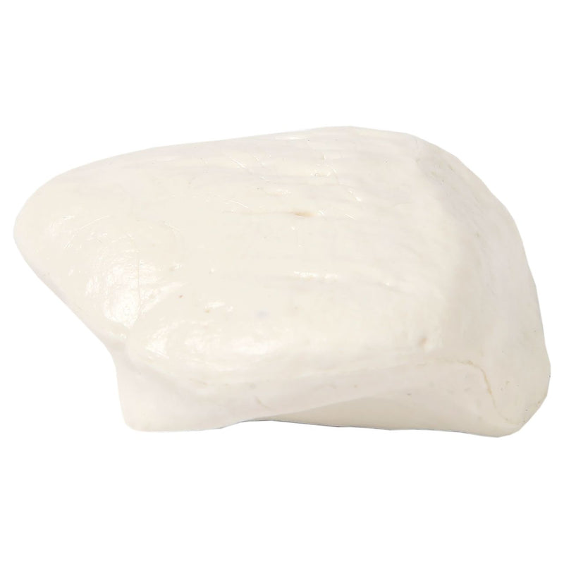 将图像加载到画廊查看器中，Patella Model, Male
