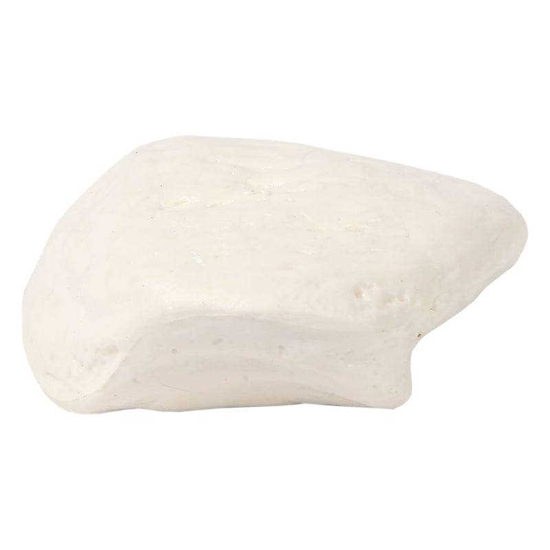 将图像加载到画廊查看器中，Patella Model, Male
