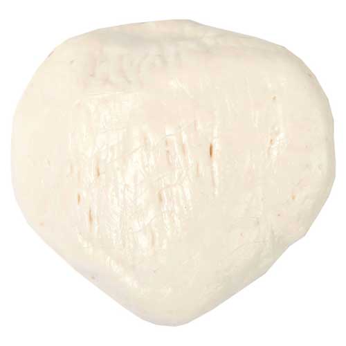 将图像加载到画廊查看器中，Patella Model, Male
