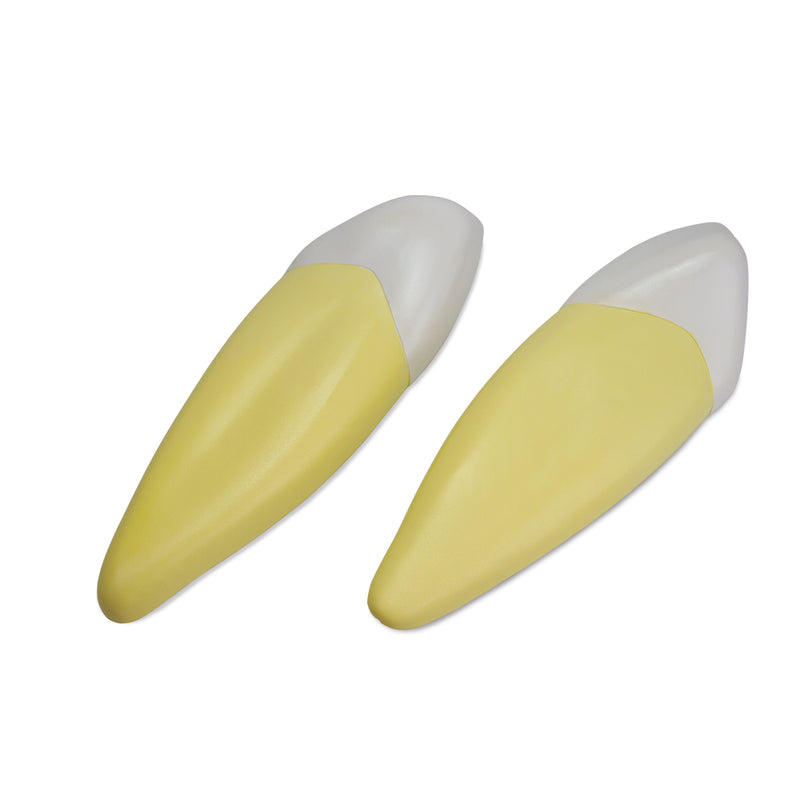 Load image into Gallery viewer, Teeth Models, 10X Enlarged, 5 Part
