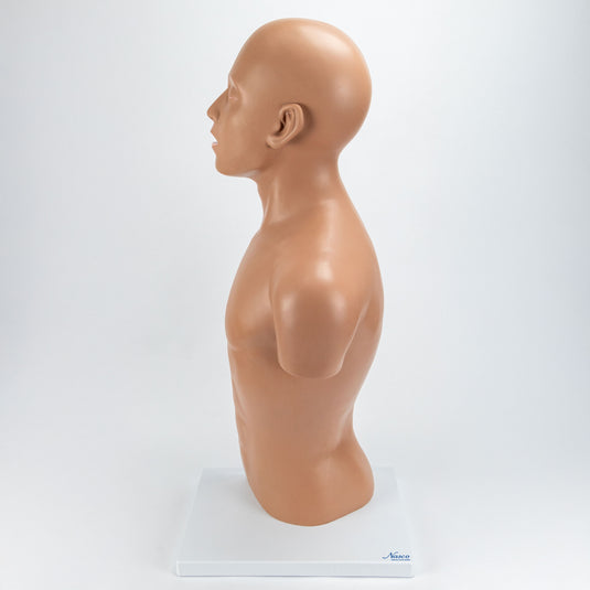 Nasogastrische Tubus Torso Modell [SKU: MG32013]