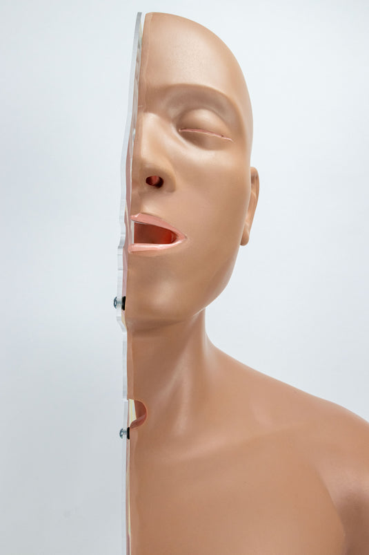 Nasogastric Tube Torso Model