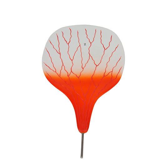 Dicotyledonous Flower, Enlarged