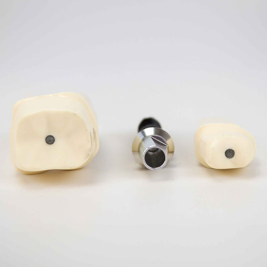 Modelo de Implante Dental, 8 Piezas [SKU: MG39444]