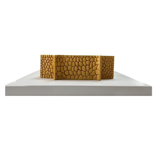 Gymnosperm Stem Cross Section Model, 350X Enlarged