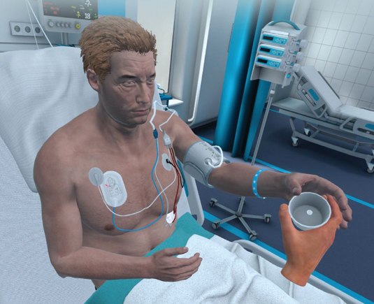 MVR-Nursing Virtual Simulator SOFTWARE ONLY [SKU MVRL-N010]