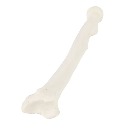 Modello Radius  [SKU: MG16861]
