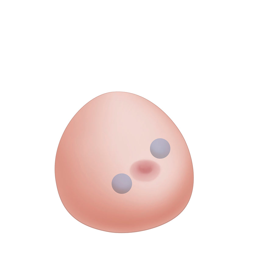 Focused Assessment with Sonography for Trauma (FAST) [SKU: BPFAST1800]