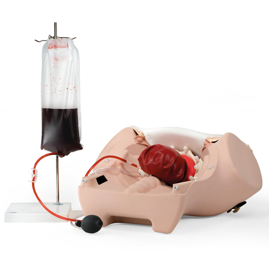 Postpartum Hemorrhage Trainer | PPH Simulation for OB Training – Nasco ...