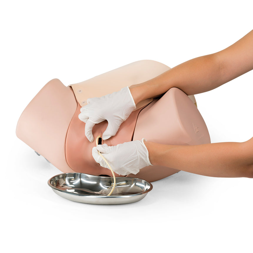 Postpartum Hemorrhage Trainer [SKU : 1021568]