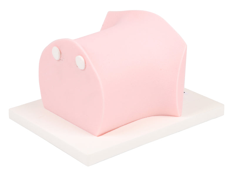 Load image into Gallery viewer, SonoEZ Pediatric Ultrasound Trainer - CVC
