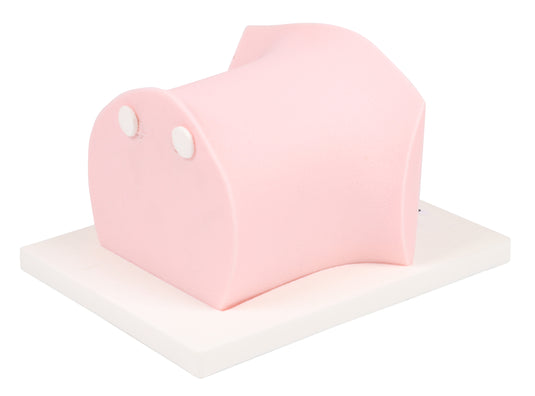 SonoEZ Pediatric Ultrasound Trainer - CVC