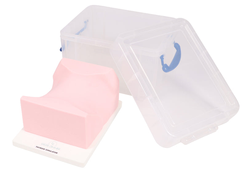 Load image into Gallery viewer, SonoEZ Ultrasound Trainer - Thyroid Gland
