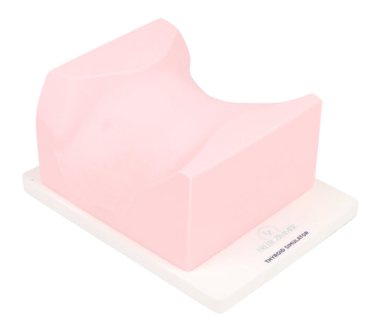 SonoEZ Ultrasound Trainer - Thyroid Gland