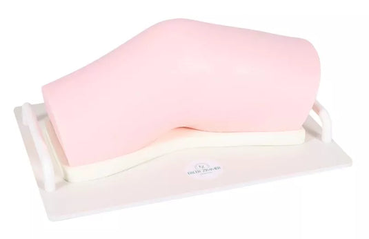 Ultrasound Trainer - Exercise Knee (Left)