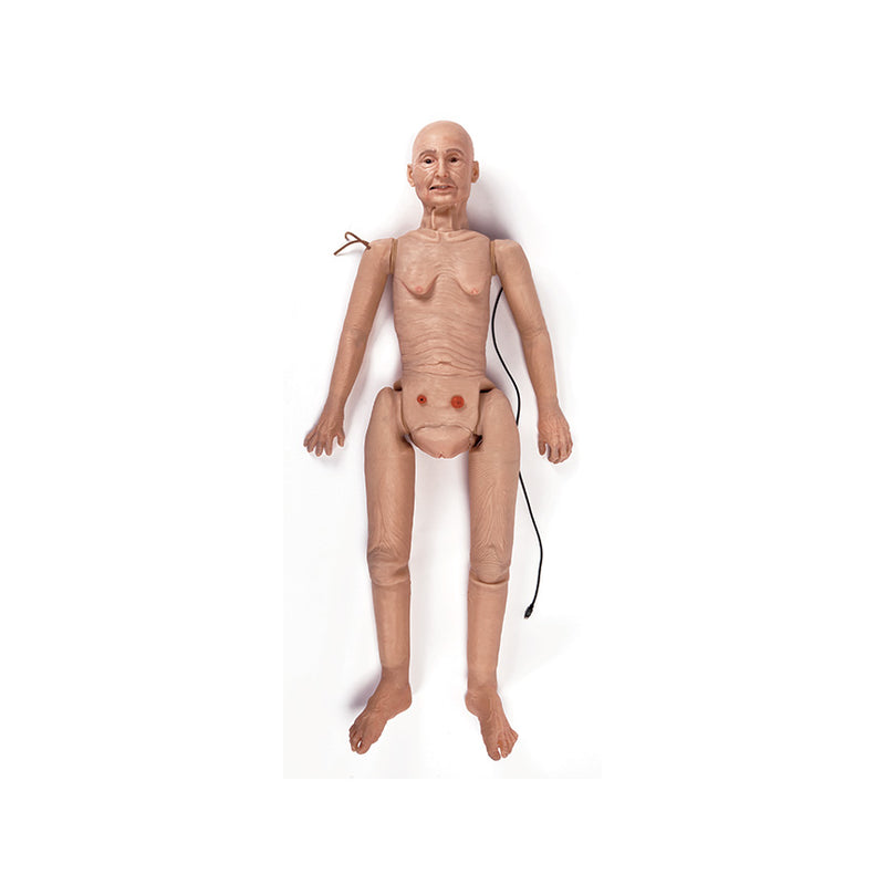 Load image into Gallery viewer, TERi™ Patient Care Trainer with Chest Compression - Medium [SKU: LF04350M]
