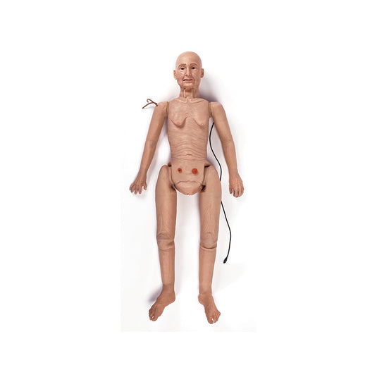 TERi™ Patient Care Trainer with Chest Compression - Medium [SKU: LF04350M]