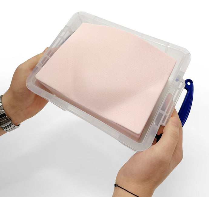 SonoEZ Ultrasound Trainer - Urinary Bladder