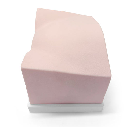 SonoEZ Ultrasound Trainer - Urinary Bladder