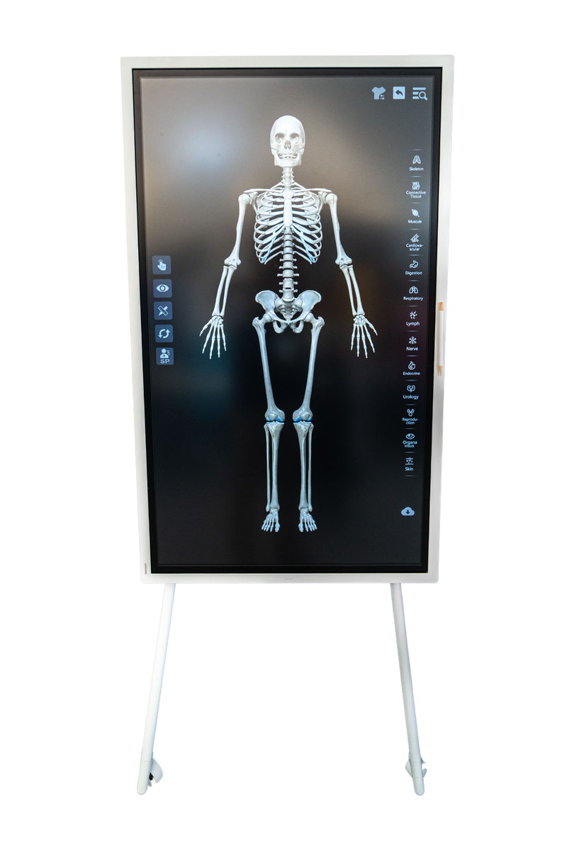 Load image into Gallery viewer, Sym Anatomy Virtual Anatomy Software [SKU: GB241201]
