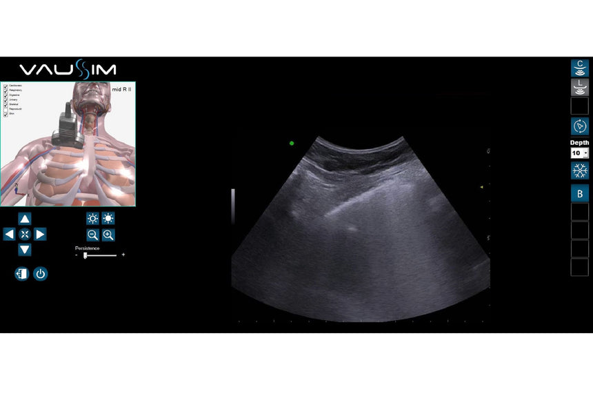 STAT Manikin with VausSim™ Ultrasound Simulator [SKU: 101-7530]