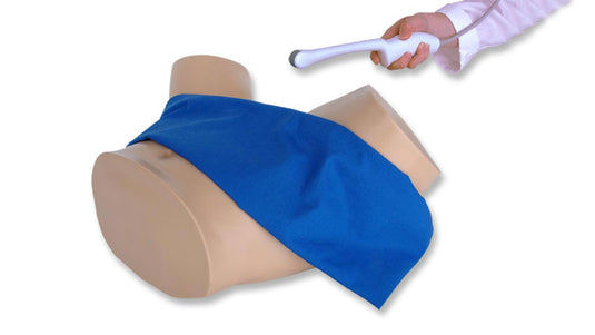 Modelo de Entrenamiento de Ultrasonido Transvaginal para Embarazo Intrauterino y Ectópico