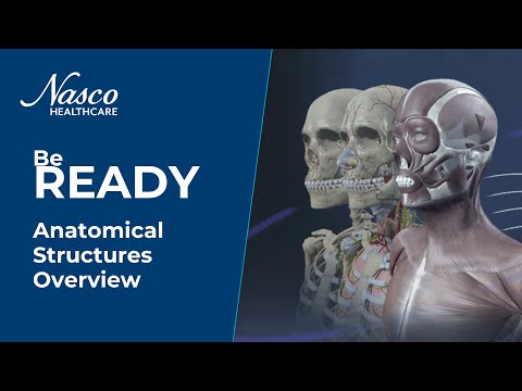 Load and play video in Gallery viewer, Sym Anatomy Virtual Anatomy Software [SKU: GB241201]
