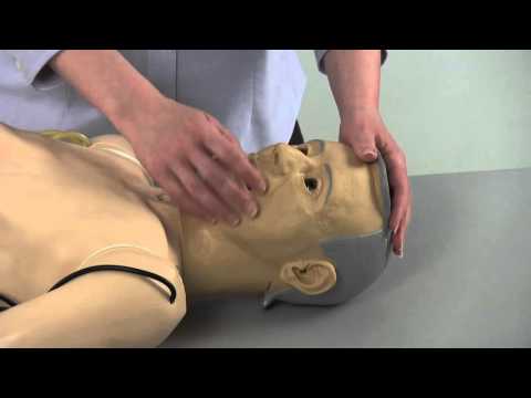 Load and play video in Gallery viewer, Life/form® Complete  KERi Auscultation Manikin - Medium [SKU: LF04123]
