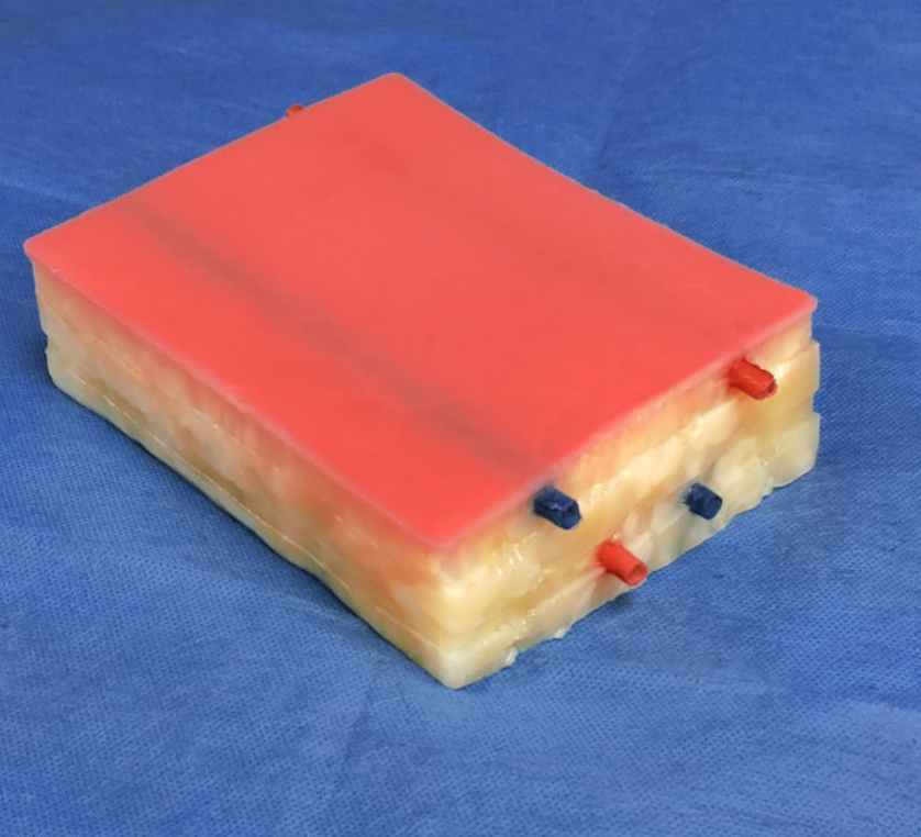 Embedded Biopsy Pad Model