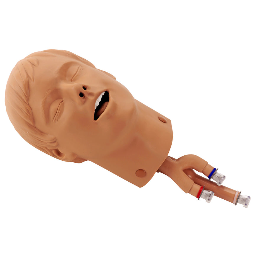 Intubation Head For Adult ALS/BLS Trainers