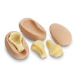 Humerus Intraosseous Trainer Pads dan Tulang, Pkg. dari 3 Setiap [SKU: 101-206]