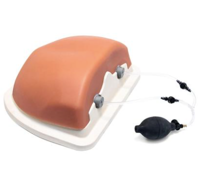 Image Guided Thoracic Spinal Injection Trainer