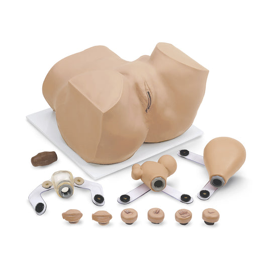 Eva Gynecologic Manikin With Carry Case [SKU: 160-1900]